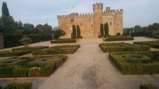 trabajos de poda en jardines decorativos