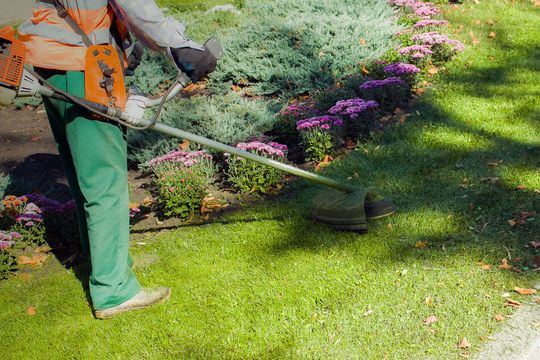 jardinero cortando el césped